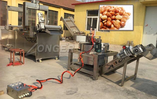 Contunuous Peanut Fryer Machine Iraq