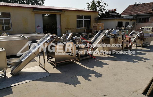 Potato Chips Plant Cost