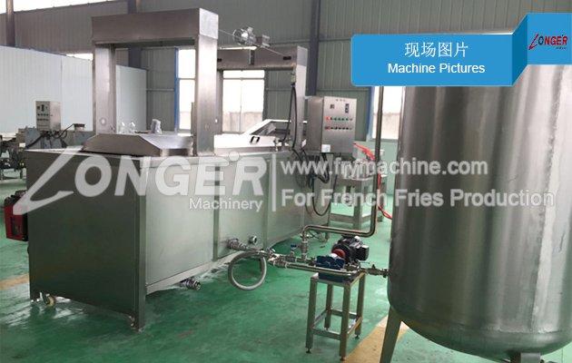 Automatic Pork Rinds Frying Machine