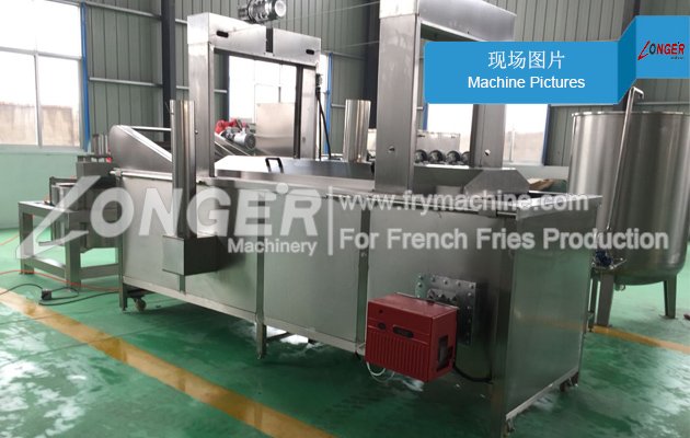 Automatic Pork Rinds Fryer