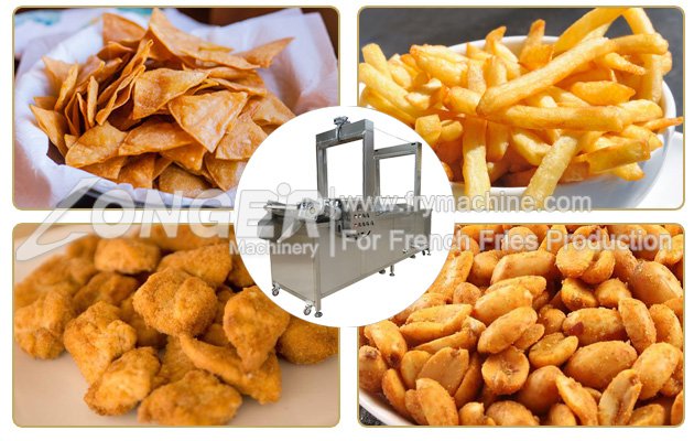 Continuous Fryer for Sale