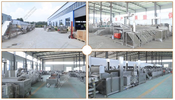 Industrial French Fries Equipment Manufacturers