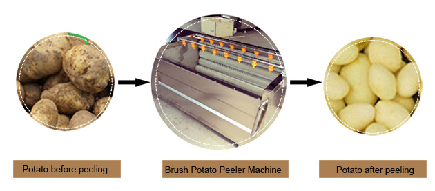 Industrial Vegetable Peeler Machines