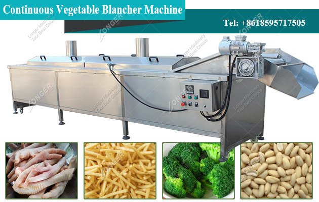 Stainless Steel Vegetable Blancher